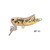 Воблер CRICKET, 50 мм, 3,5 г, цвет 053, для ловли щуки, судака, окуня