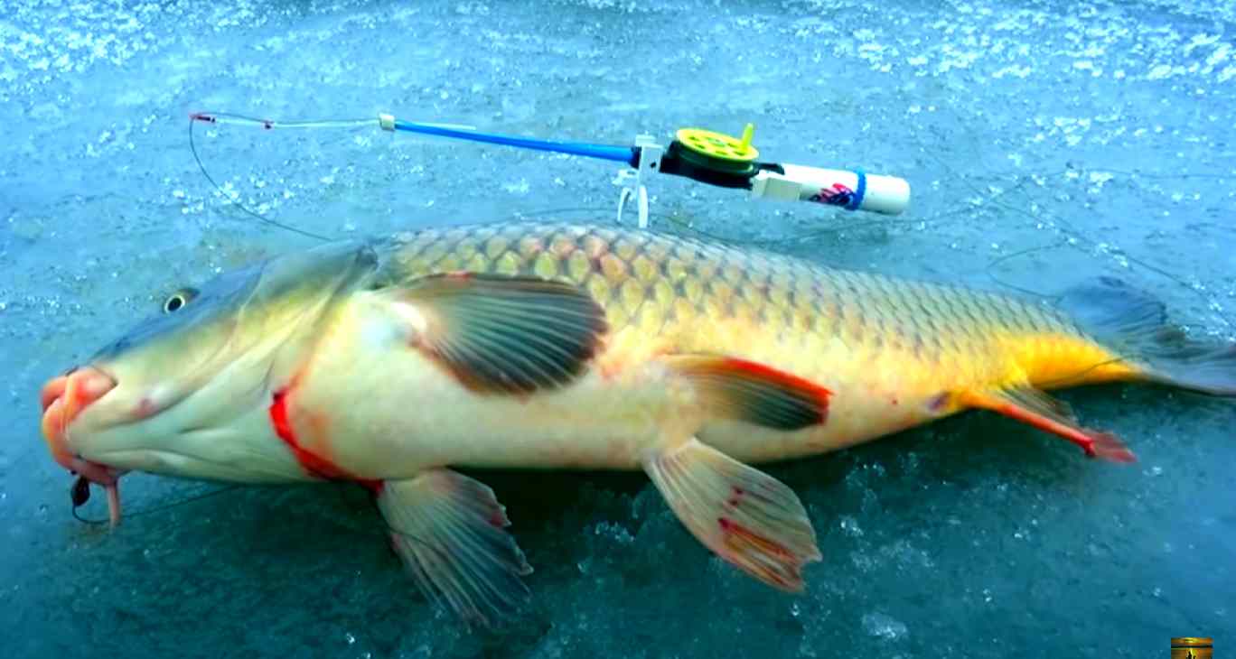 Зимние удочки для зимней рыбалки   цена от 15 грн в 